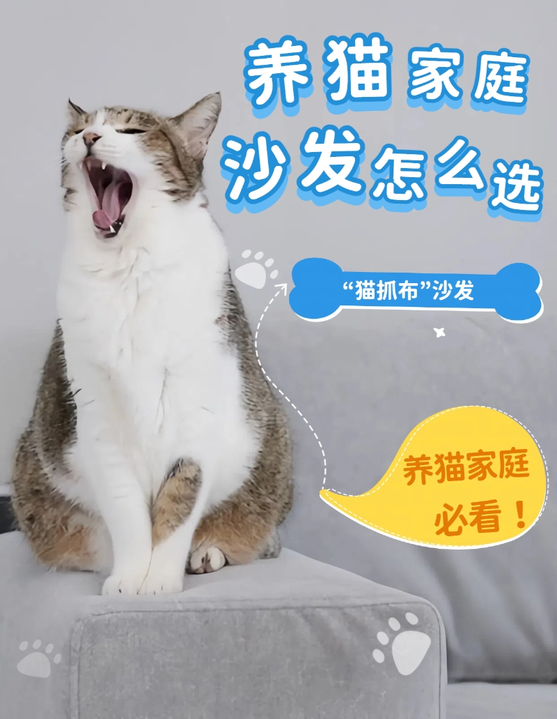 蠡口家具城养猫家庭必看！我家“猫抓布”沙发，猫主子爱惨了！耐抓、防污、超好清！