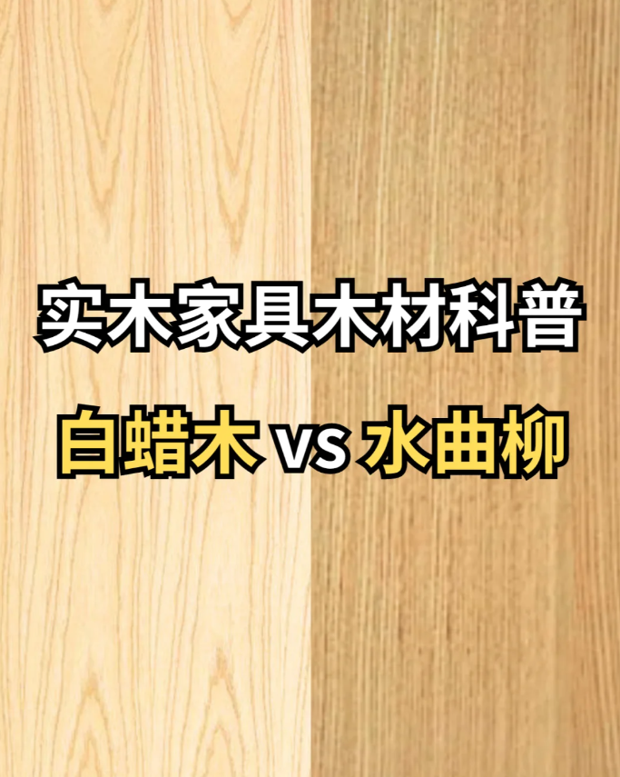 蠡口家具城北美白蜡木 VS 欧洲水曲柳：长得像“双胞胎”，价格却差一倍？内行人教你一眼分辨！